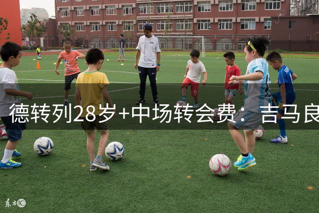 德转列28岁+中场转会费：吉马良斯居首，恒大引进暴力鸟上榜